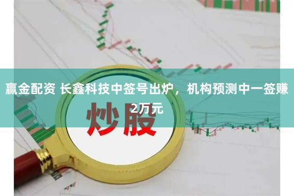赢金配资 长鑫科技中签号出炉,机构预测中一签赚2万元